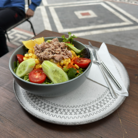 Ton Balıklı Salata